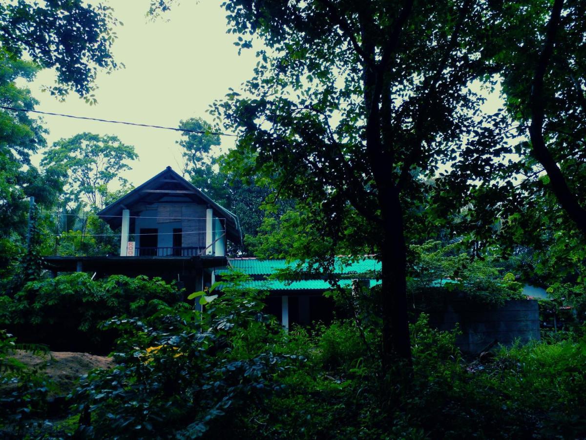 Habarana Dulwan Guest House Buitenkant foto