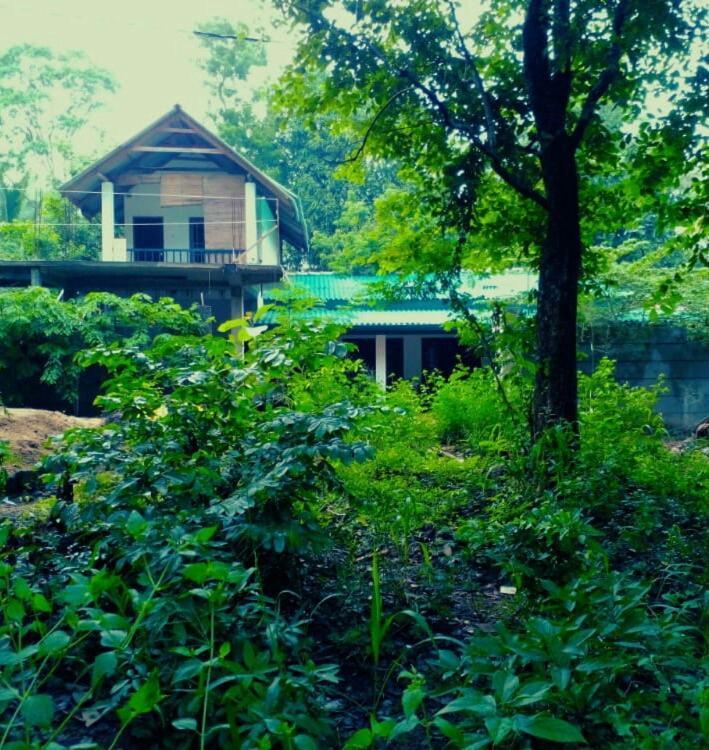 Habarana Dulwan Guest House Buitenkant foto